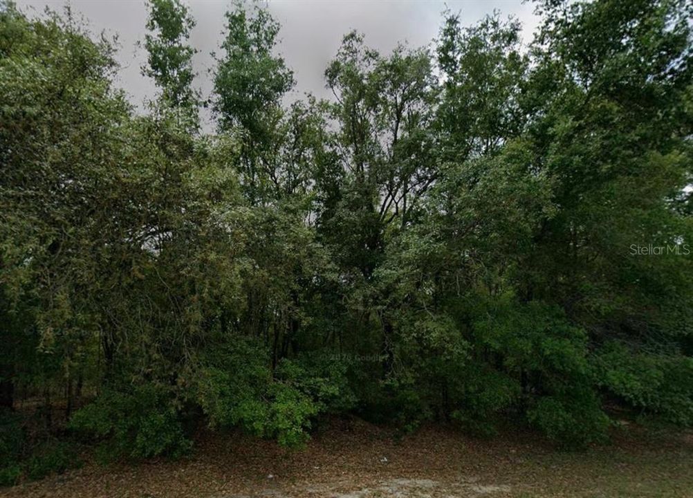 En Venta: $25,000 (0.28 acres)