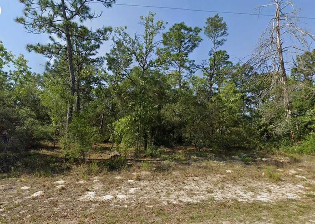 Под контрактом: $45,000 (1.13 acres)