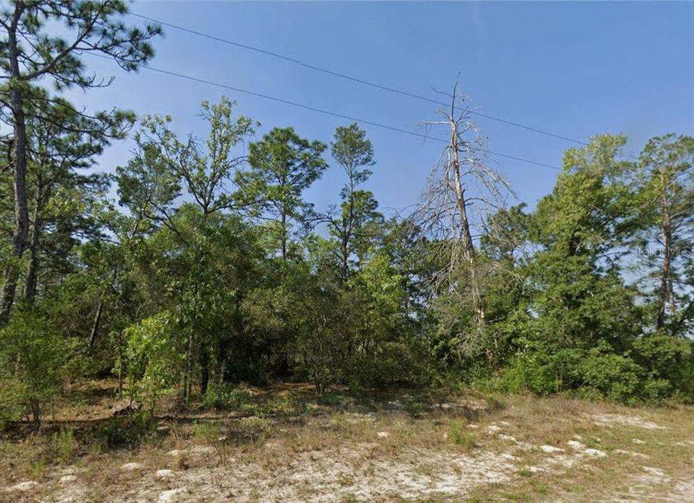 Под контрактом: $45,000 (1.13 acres)