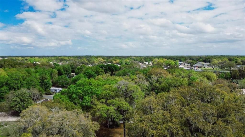 For Sale: $34,999 (0.30 acres)