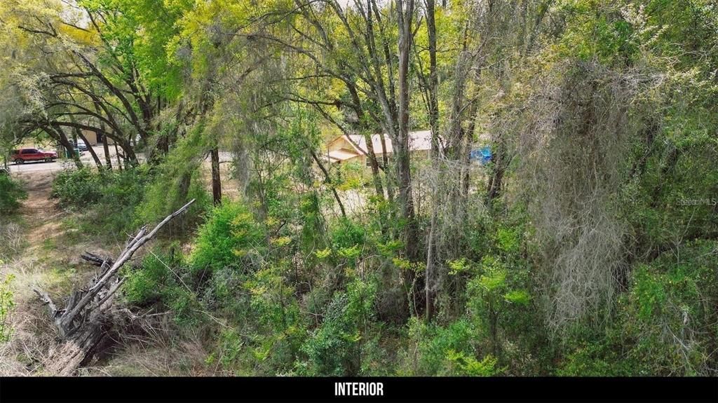 For Sale: $34,999 (0.30 acres)