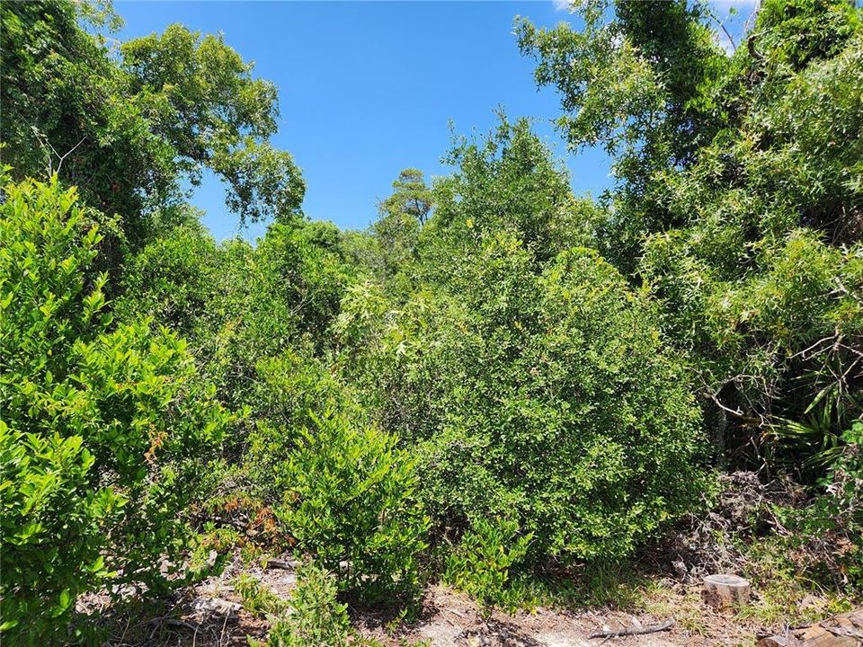 На продажу: $39,900 (0.23 acres)