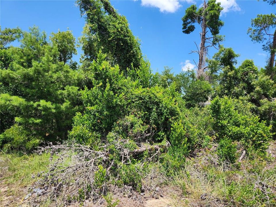 На продажу: $39,900 (0.23 acres)