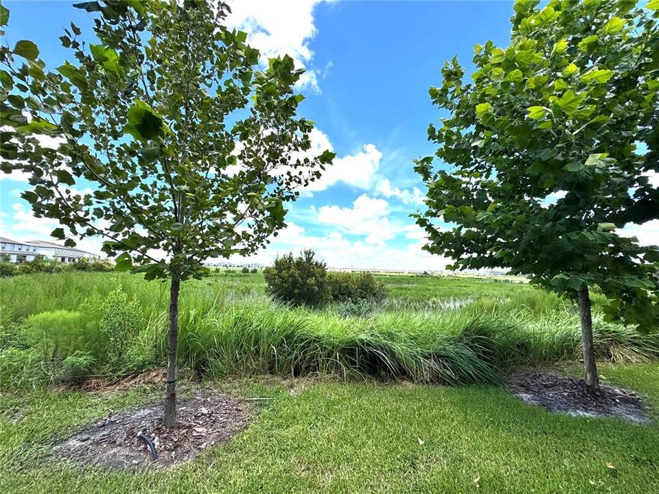 For Rent: $2,100 (3 beds, 2 baths, 1634 Square Feet)