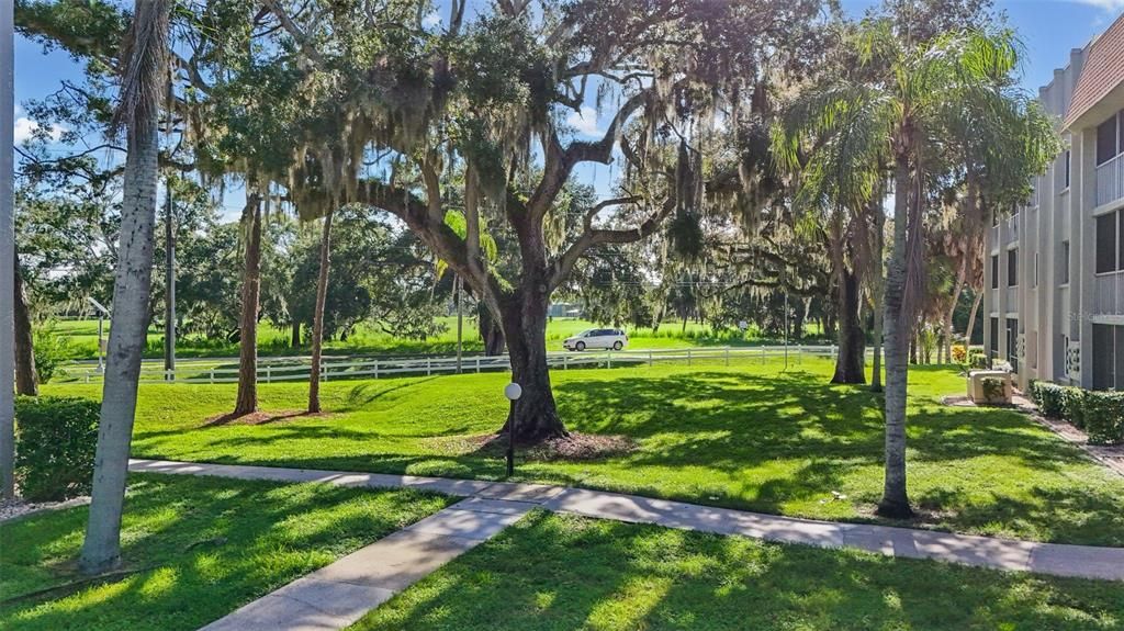 For Sale: $149,900 (2 beds, 2 baths, 903 Square Feet)