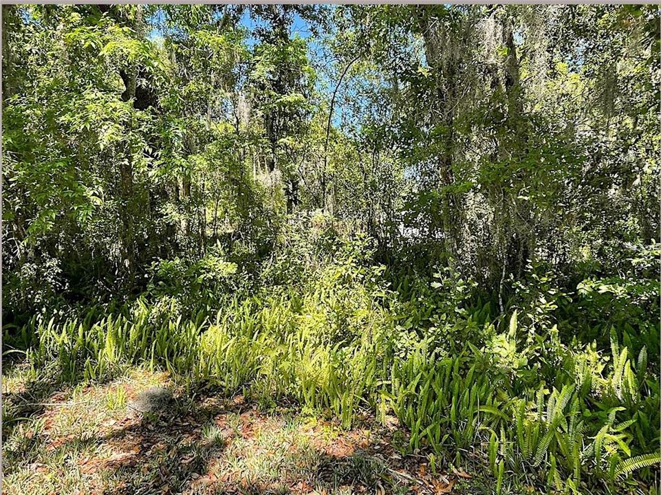 For Sale: $15,000 (0.11 acres)