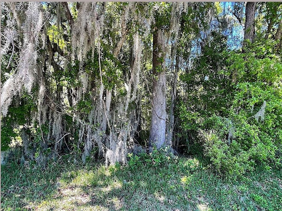 For Sale: $15,000 (0.11 acres)