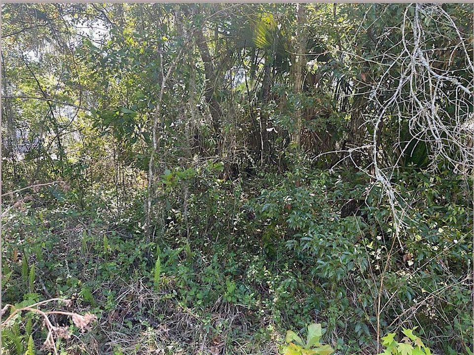 For Sale: $15,000 (0.11 acres)