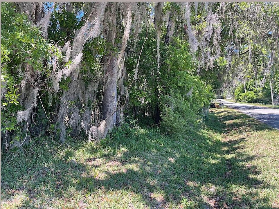 For Sale: $15,000 (0.11 acres)