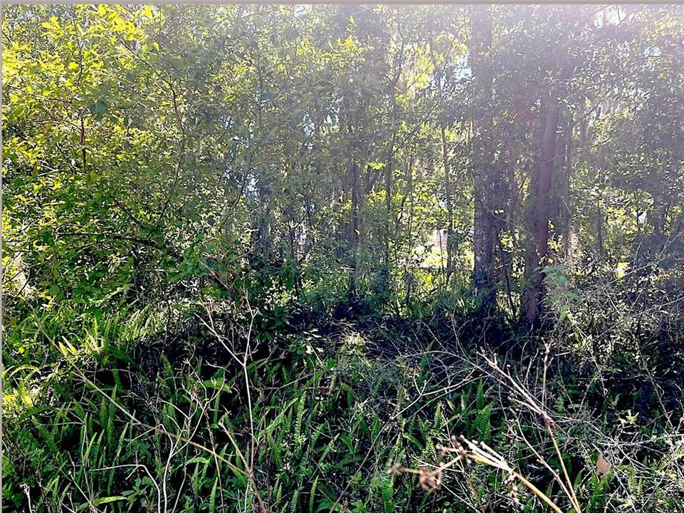 For Sale: $15,000 (0.11 acres)