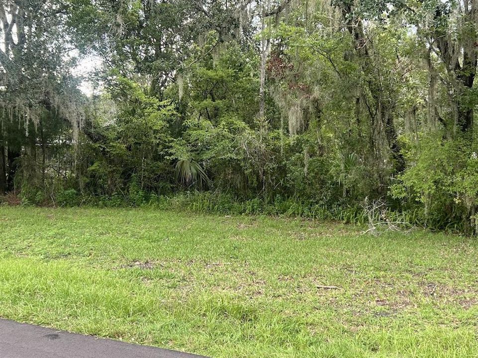 For Sale: $15,000 (0.11 acres)