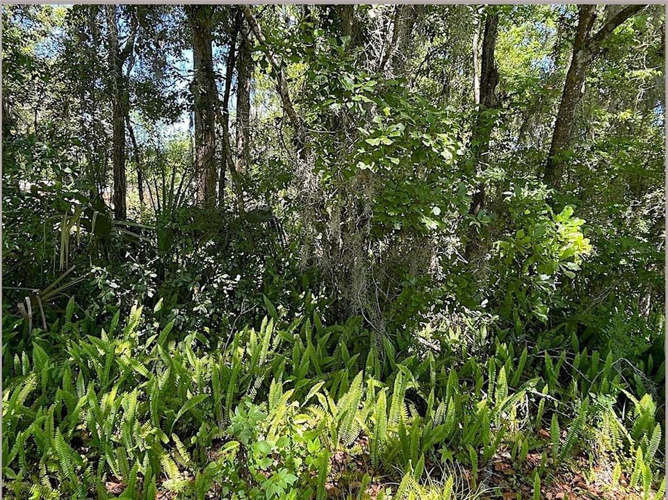 For Sale: $15,000 (0.11 acres)
