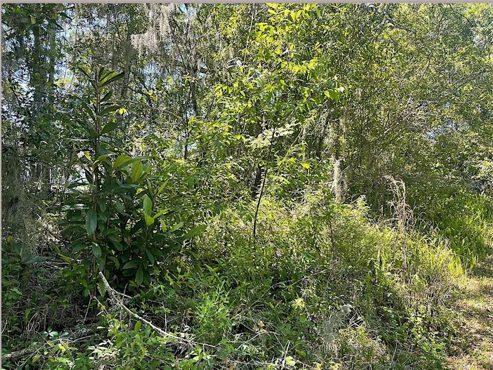 For Sale: $15,000 (0.11 acres)