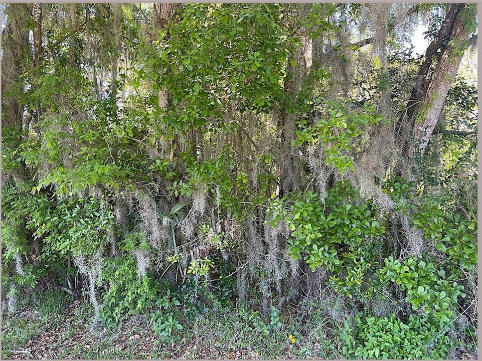 For Sale: $15,000 (0.11 acres)