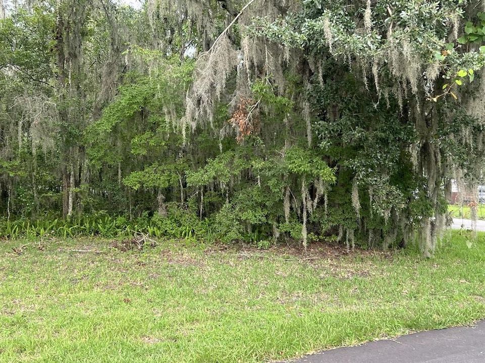 For Sale: $15,000 (0.11 acres)