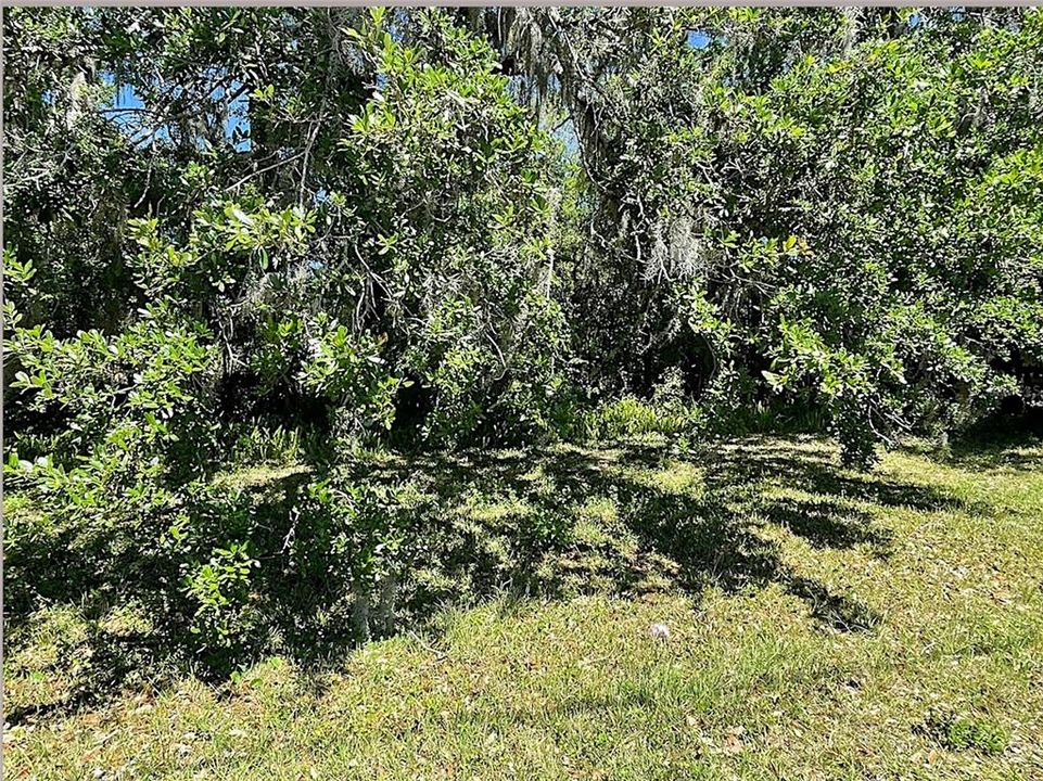 For Sale: $15,000 (0.11 acres)