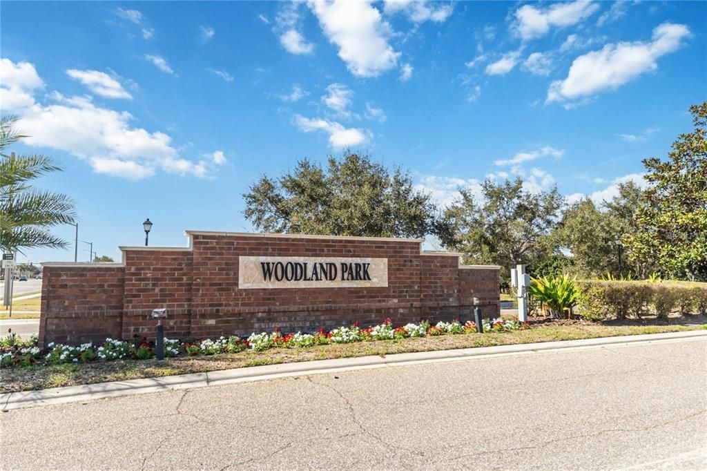 For Sale: $699,000 (5 beds, 4 baths, 3506 Square Feet)