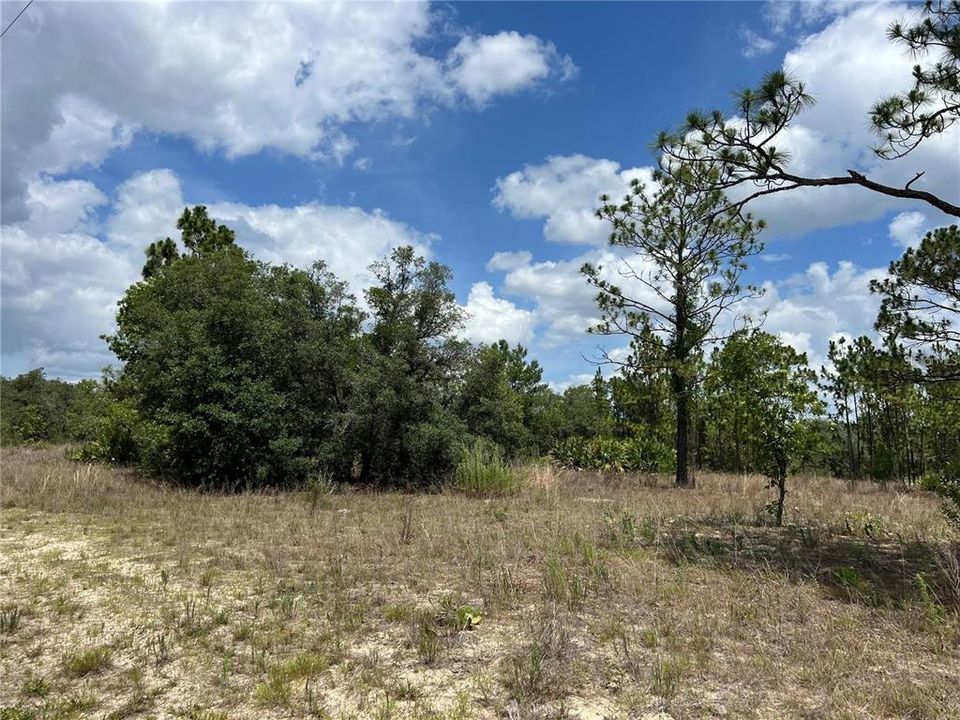 待售: $20,000 (0.23 acres)