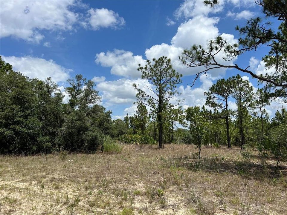待售: $20,000 (0.23 acres)