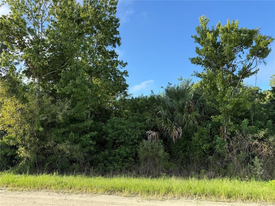 На продажу: $300,000 (2.73 acres)