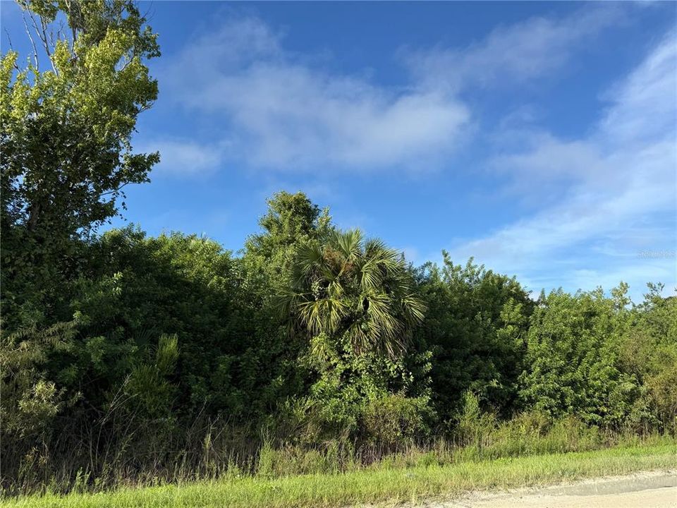 На продажу: $300,000 (2.73 acres)