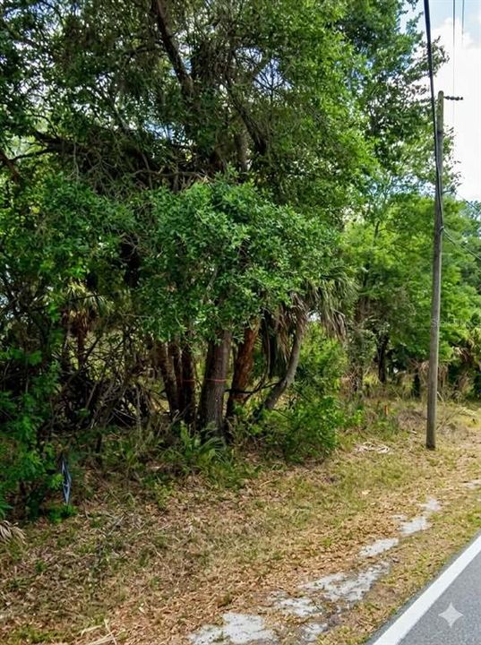 For Sale: $69,999 (0.23 acres)