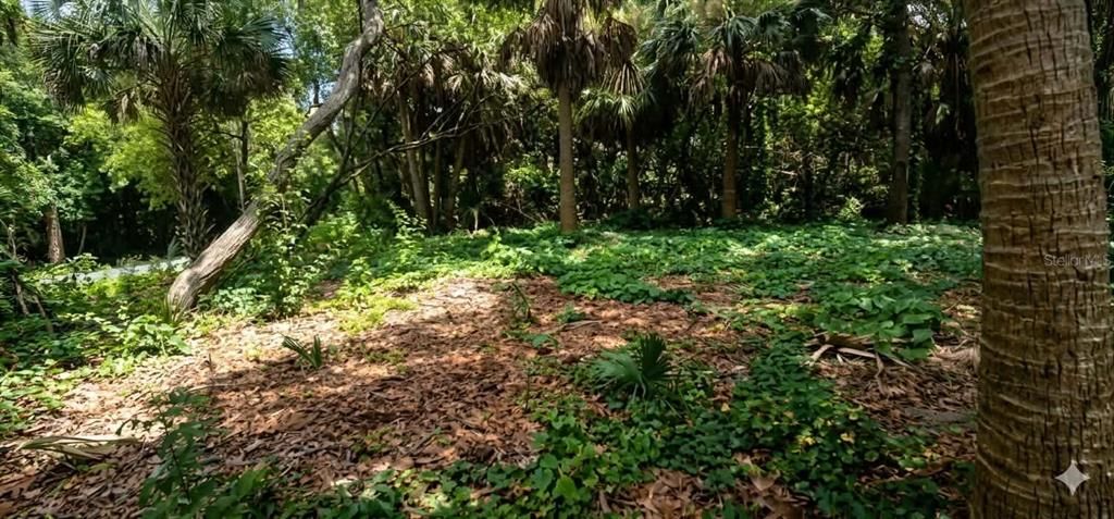 For Sale: $69,999 (0.23 acres)