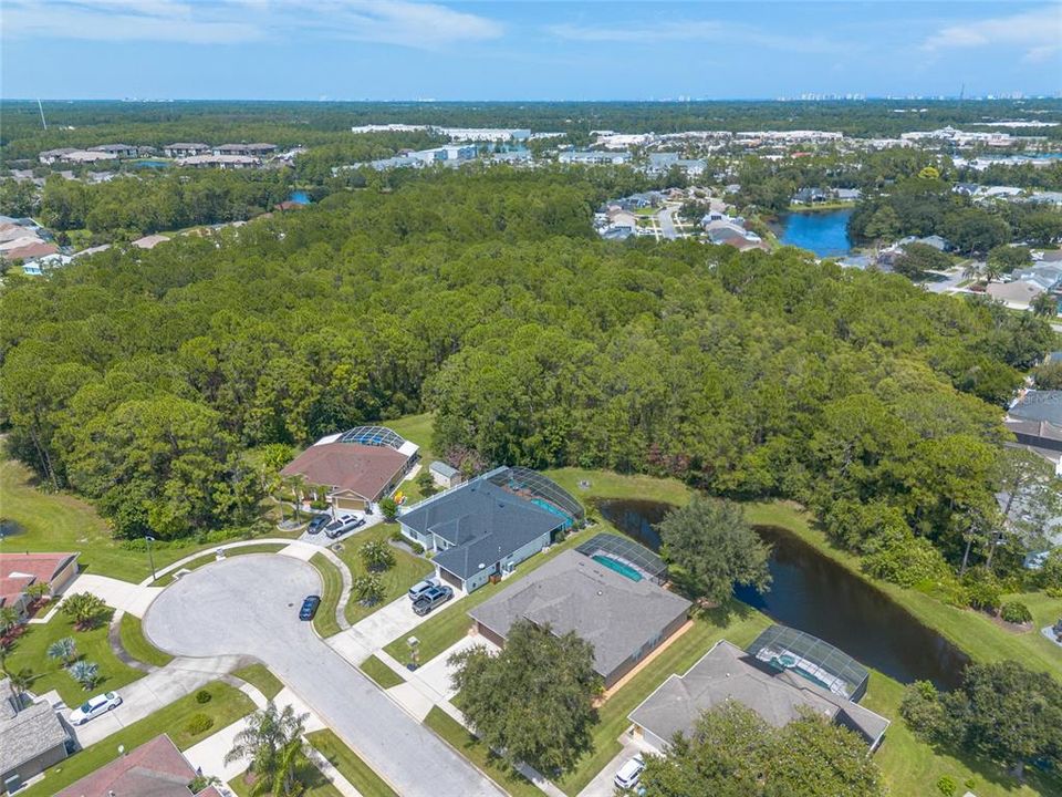 For Sale: $528,000 (4 beds, 3 baths, 2447 Square Feet)
