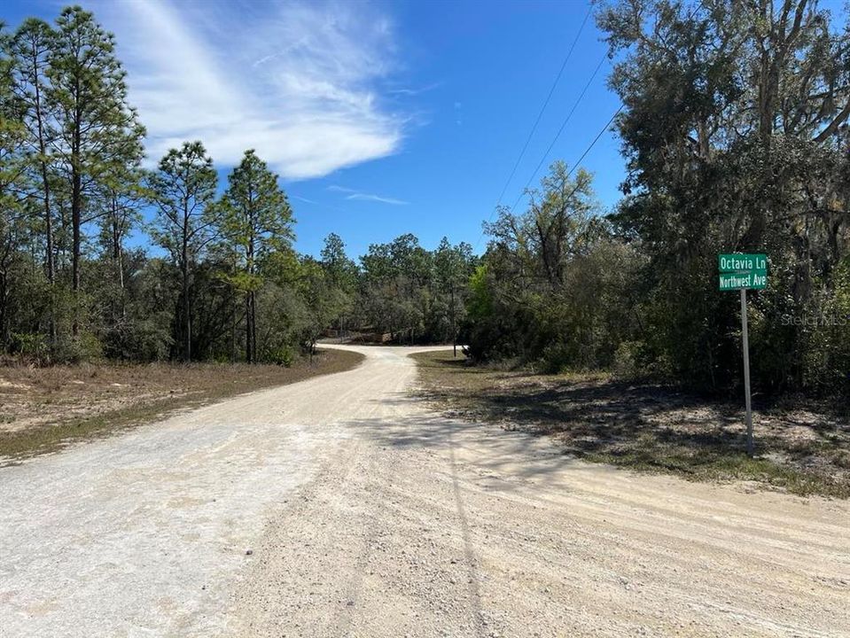 For Sale: $29,000 (0.38 acres)