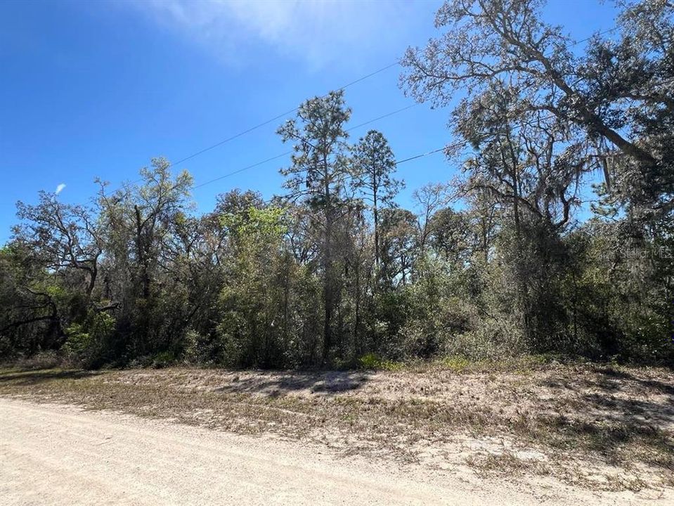 For Sale: $29,000 (0.38 acres)