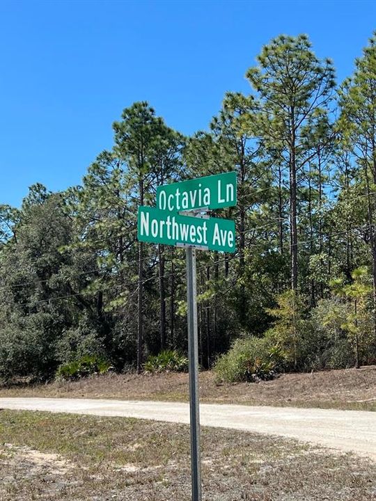 For Sale: $29,000 (0.38 acres)