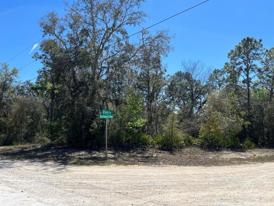 For Sale: $29,000 (0.38 acres)
