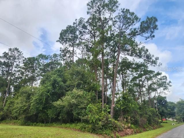 Recently Sold: $180,000 (0.33 acres)