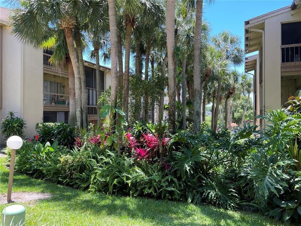 For Rent: $1,350 (1 beds, 1 baths, 607 Square Feet)