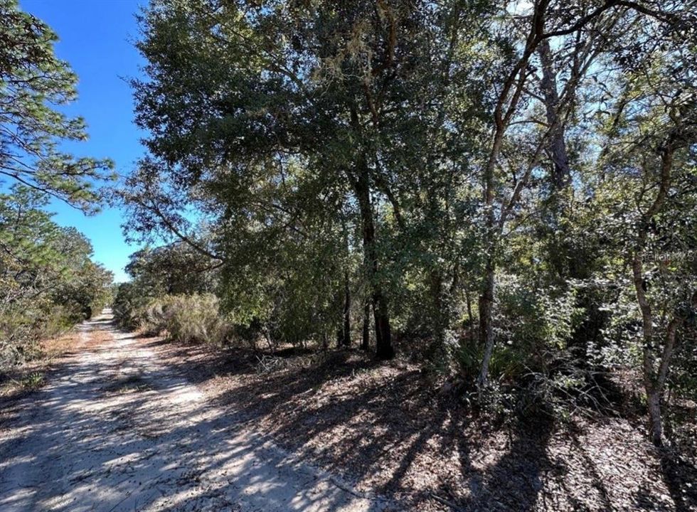 For Sale: $35,000 (1.25 acres)