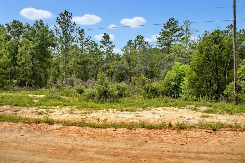 待售: $9,999 (0.23 acres)