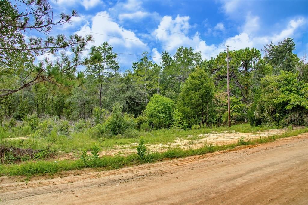 待售: $9,999 (0.23 acres)