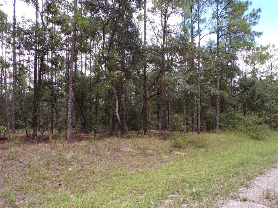 待售: $14,000 (0.23 acres)