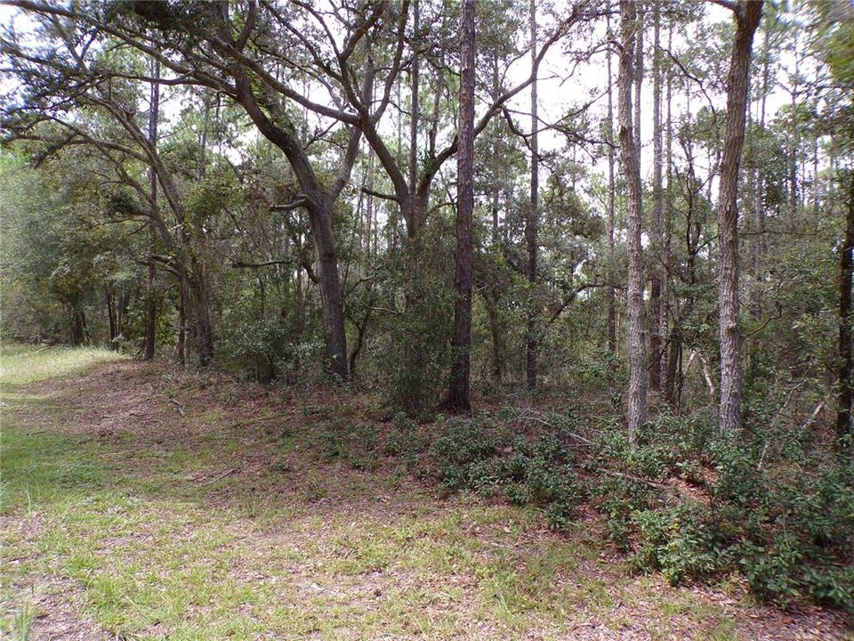 待售: $14,000 (0.23 acres)