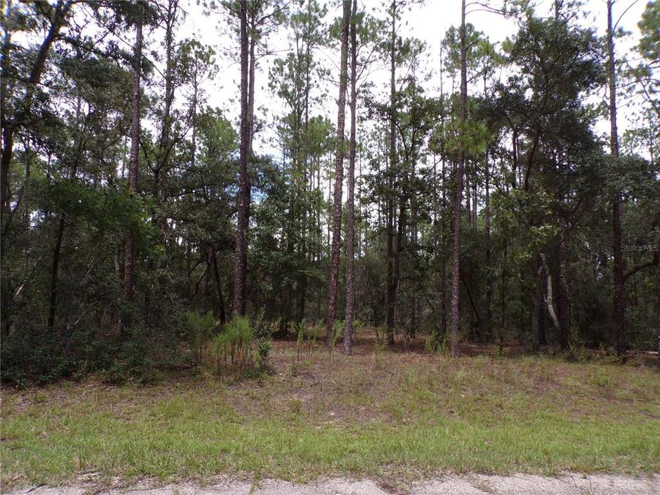 待售: $14,000 (0.23 acres)