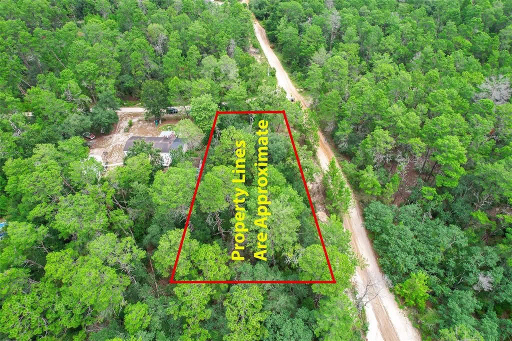 For Sale: $9,999 (0.23 acres)