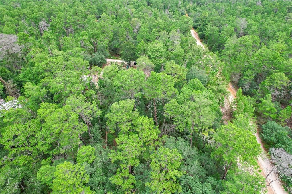 For Sale: $9,999 (0.23 acres)