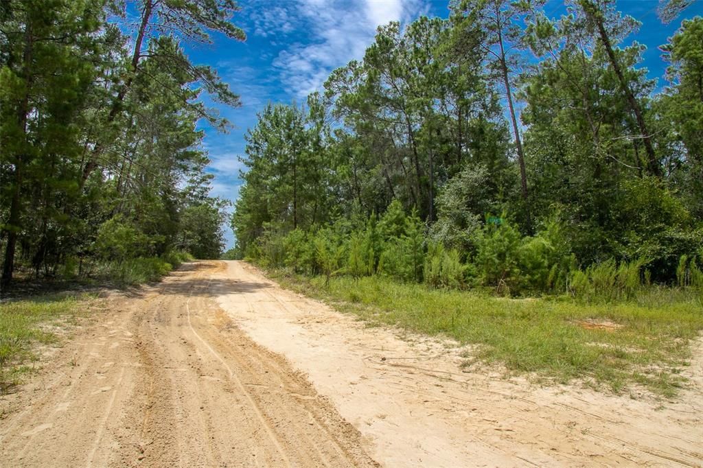 For Sale: $9,999 (0.23 acres)