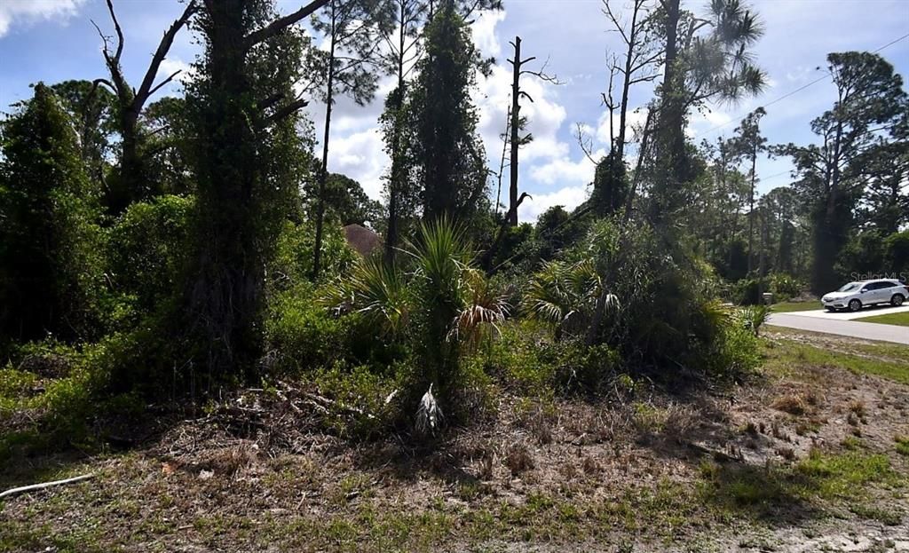 На продажу: $22,900 (0.24 acres)