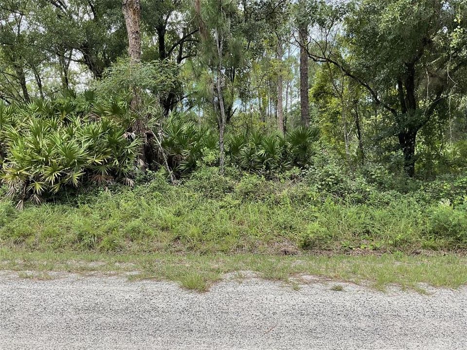 Activo con contrato: $32,000 (1.07 acres)