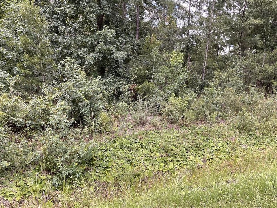 Activo con contrato: $32,000 (1.07 acres)