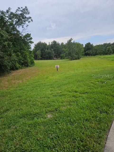For Sale: $165,000 (0.80 acres)
