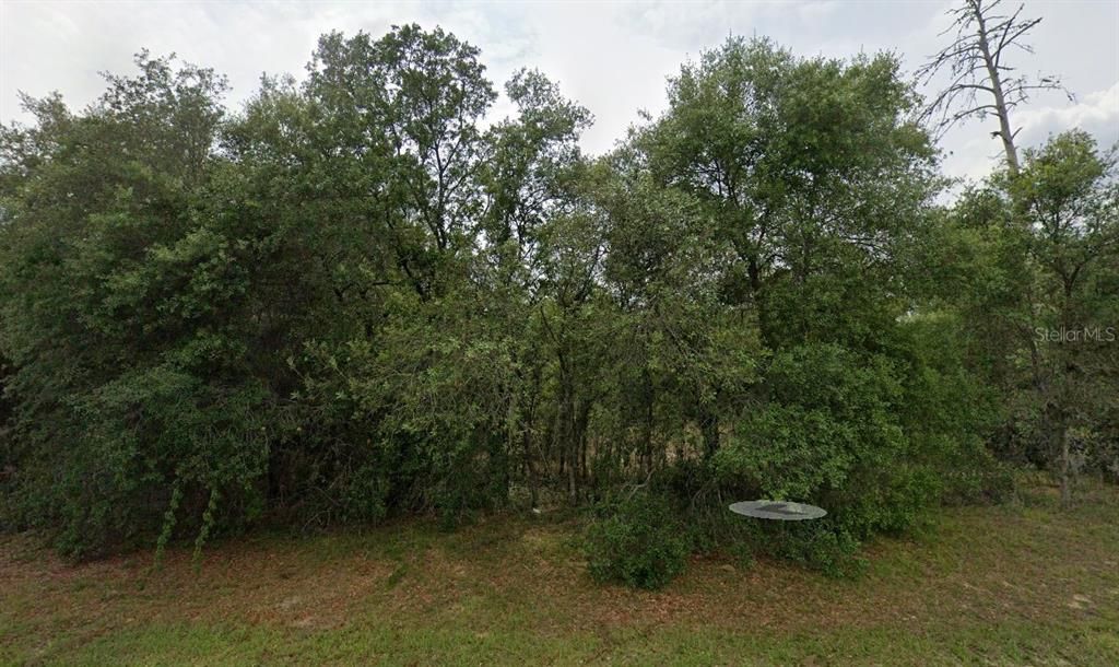 For Sale: $59,900 (0.77 acres)