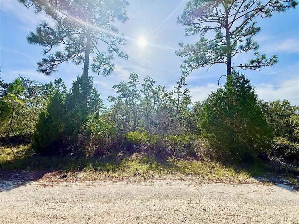 For Sale: $55,000 (1.16 acres)