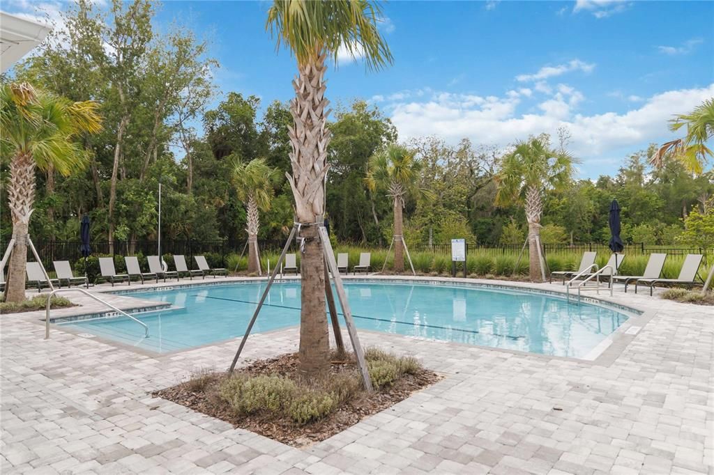 For Rent: $2,900 (4 beds, 2 baths, 1678 Square Feet)